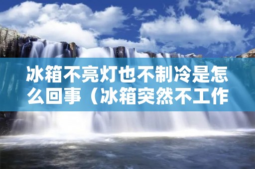 冰箱不亮灯也不制冷是怎么回事（冰箱突然不工作了灯也不亮）