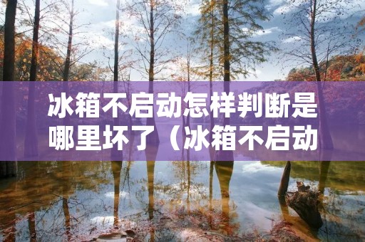 冰箱不启动怎样判断是哪里坏了(冰箱不启动怎样判断是哪里坏了视频) 冰箱不启动怎样判断是哪里坏了(冰箱不启动怎样判断是哪里坏了视频)