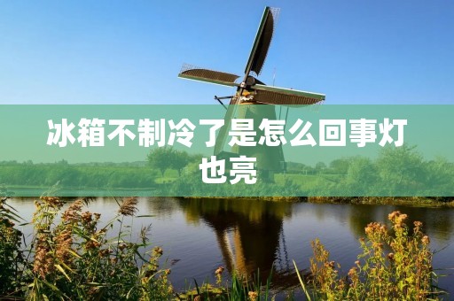冰箱不制冷了是怎么回事灯也亮