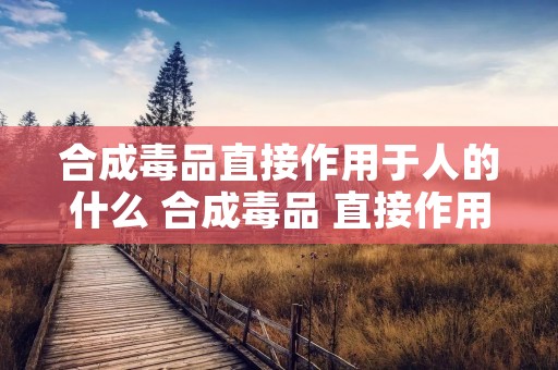 合成毒品直接作用于人的什么 合成毒品 直接作用于人的什么