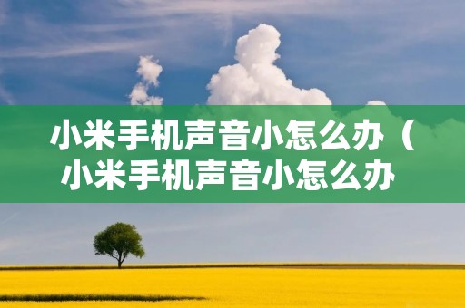 小米手机声音小怎么办(小米手机声音小怎么办 五种解决方法教给你) 小米手机声音小怎么办(小米手机声音小怎么办 五种解决方法教给你)