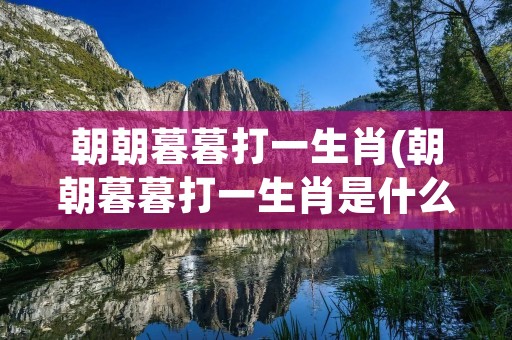 朝朝暮暮打一生肖(朝朝暮暮打一生肖是什么动物)