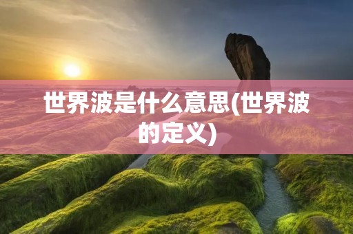 世界波是什么意思(世界波的定义)