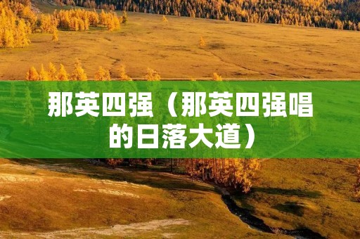 那英四强(那英四强唱的日落大道) 那英四强(那英四强唱的日落大道)