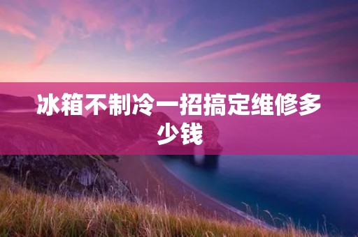冰箱不制冷一招搞定维修多少钱