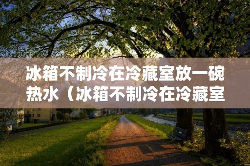 冰箱不制冷在冷藏室放一碗热水(冰箱不制冷在冷藏室放一碗热水有用吗)