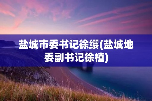 盐城市委书记徐缨(盐城地委副书记徐植)