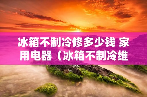 冰箱不制冷修多少钱 家用电器(冰箱不制冷维修费大概多少)