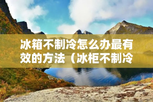 冰箱不制冷怎么办最有效的方法(冰柜不制冷一招搞定)