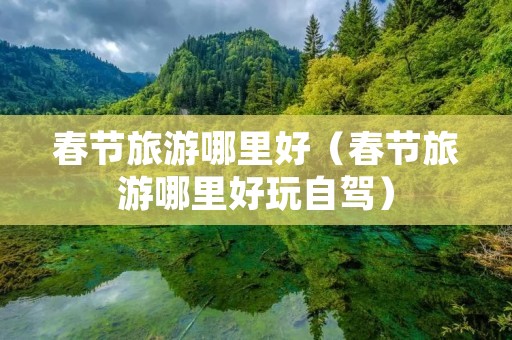 春节旅游哪里好（春节旅游哪里好玩自驾）