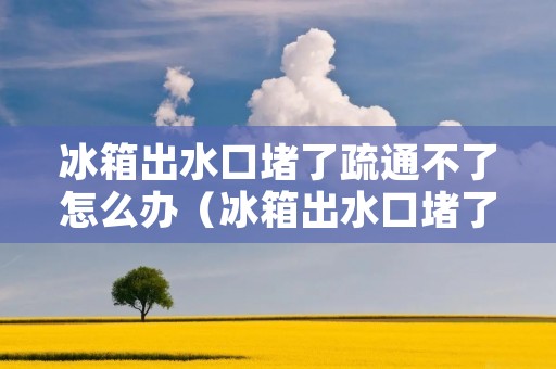 冰箱出水口堵了疏通不了怎么办(冰箱出水口堵了疏通不了怎么办经常)