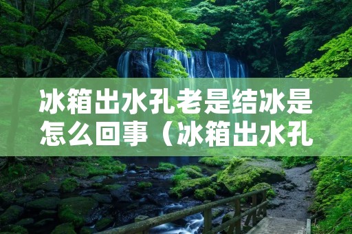 冰箱出水孔老是结冰是怎么回事(冰箱出水孔老是结冰是怎么回事啊)
