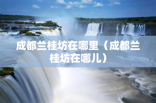 成都兰桂坊在哪里（成都兰桂坊在哪儿）