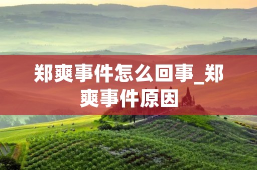 郑爽事件怎么回事_郑爽事件原因