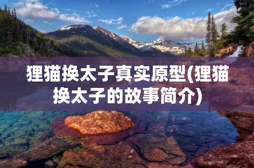 狸猫换太子真实原型(狸猫换太子的故事简介)
