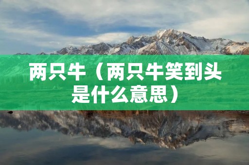 两只牛(两只牛笑到头是什么意思) 两只牛(两只牛笑到头是什么意思)