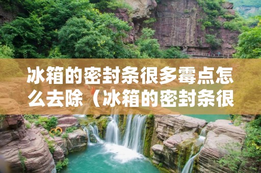 冰箱的密封条很多霉点怎么去除(冰箱的密封条很多霉点怎么去除干净)