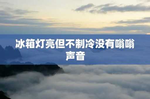 冰箱灯亮但不制冷没有嗡嗡声音
