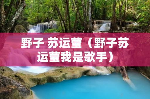 野子 苏运莹(野子苏运莹我是歌手) 野子 苏运莹(野子苏运莹我是歌手)