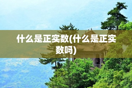 什么是正实数(什么是正实数吗)