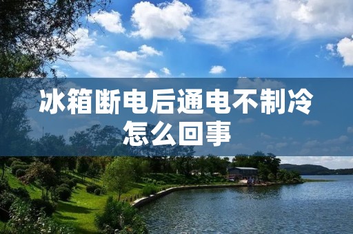 冰箱断电后通电不制冷怎么回事