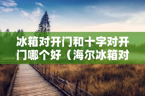 冰箱对开门和十字对开门哪个好(海尔冰箱对开门和十字对开门哪个好)
