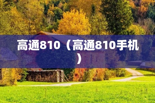 高通810（高通810手机）