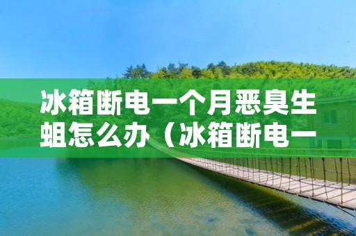 冰箱断电一个月恶臭生蛆怎么办(冰箱断电一个月恶臭生蛆怎么办清洗后用对身体有影响吗)