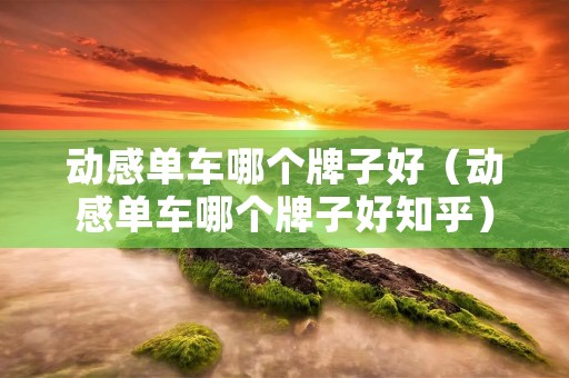 动感单车哪个牌子好（动感单车哪个牌子好知乎）