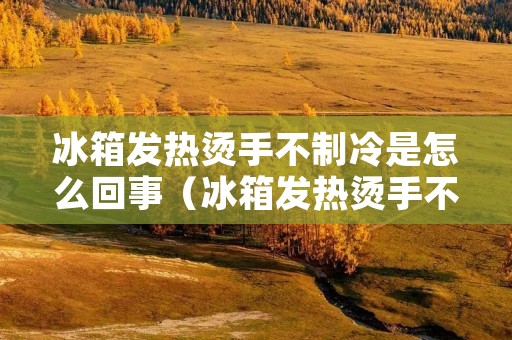冰箱发热烫手不制冷是怎么回事(冰箱发热烫手不制冷是怎么回事儿) 冰箱发热烫手不制冷是怎么回事(冰箱发热烫手不制冷是怎么回事儿)