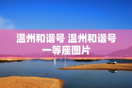 温州和谐号 温州和谐号一等座图片