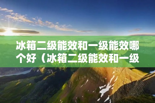 冰箱二级能效和一级能效哪个好（冰箱二级能效和一级能效哪个好用）