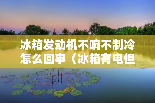 冰箱发动机不响不制冷怎么回事(冰箱有电但是不制冷怎么恢复) 冰箱发动机不响不制冷怎么回事(冰箱有电但是不制冷怎么恢复)