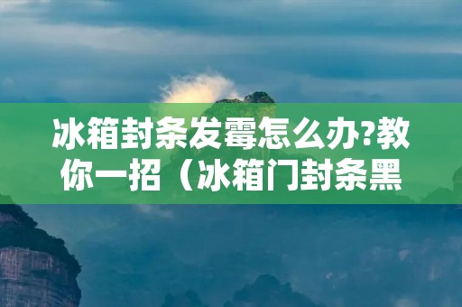 冰箱封条发霉怎么办?教你一招（冰箱门封条黑霉点怎么去除）