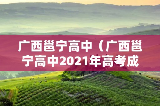 广西邕宁高中(广西邕宁高中2021年高考成绩) 广西邕宁高中(广西邕宁高中2021年高考成绩)