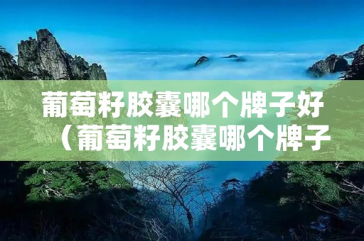 葡萄籽胶囊哪个牌子好(葡萄籽胶囊哪个牌子好 知乎) 葡萄籽胶囊哪个牌子好(葡萄籽胶囊哪个牌子好 知乎)