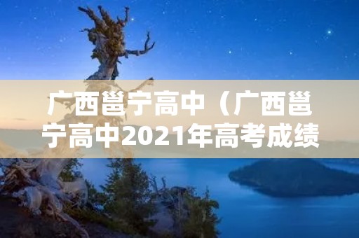 广西邕宁高中（广西邕宁高中2021年高考成绩）