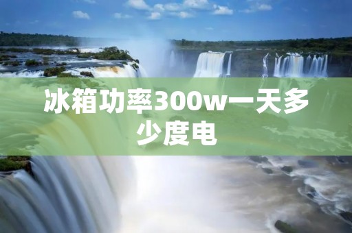 冰箱功率300w一天多少度电