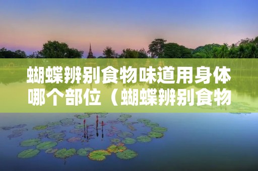 蝴蝶辨别食物味道用身体哪个部位(蝴蝶辨别食物味道用身体哪个部位来辨别) 蝴蝶辨别食物味道用身体哪个部位(蝴蝶辨别食物味道用身体哪个部位来辨别)