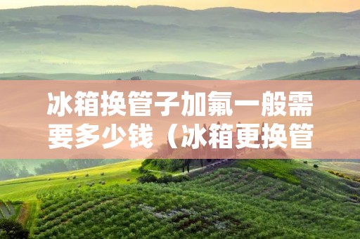 冰箱换管子加氟一般需要多少钱（冰箱更换管道加制冷剂要多少钱）