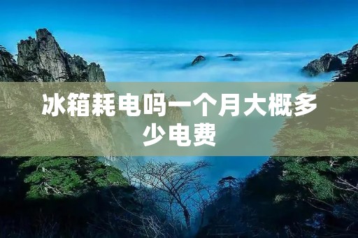 冰箱耗电吗一个月大概多少电费