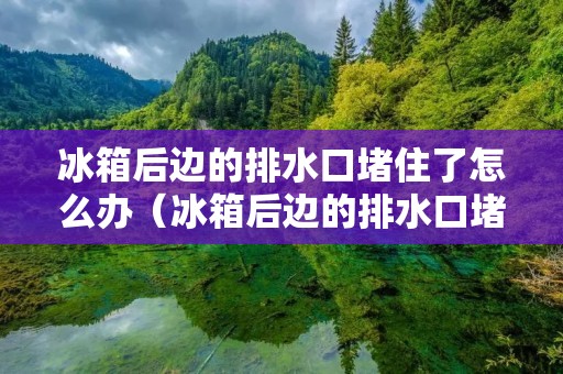冰箱后边的排水口堵住了怎么办（冰箱后边的排水口堵住了怎么办视频）
