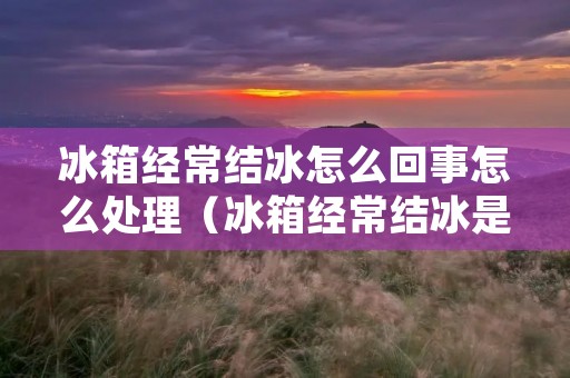 冰箱经常结冰怎么回事怎么处理（冰箱经常结冰是怎么回事）