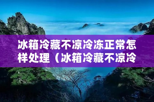 冰箱冷藏不凉冷冻正常怎样处理（冰箱冷藏不凉冷冻正常怎样处理视频）