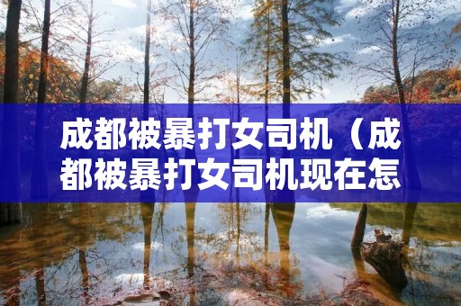 成都被暴打女司机(成都被暴打女司机现在怎么样) 成都被暴打女司机(成都被暴打女司机现在怎么样)