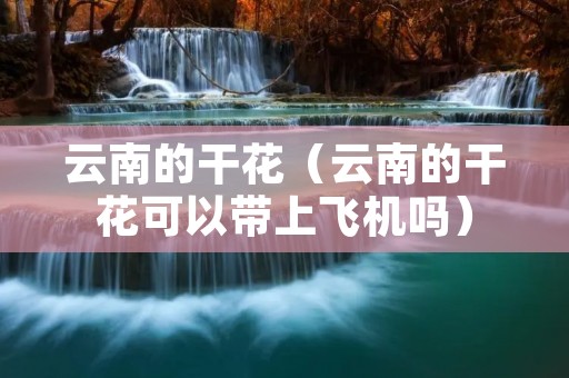 云南的干花(云南的干花可以带上飞机吗) 云南的干花(云南的干花可以带上飞机吗)