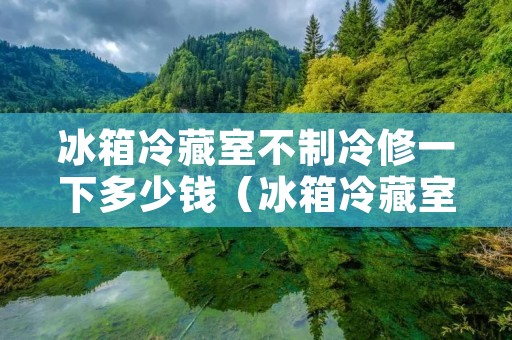 冰箱冷藏室不制冷修一下多少钱（冰箱冷藏室不制冷修理多少钱）