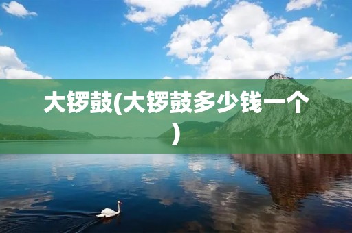 大锣鼓(大锣鼓多少钱一个)