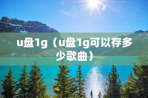 u盘1g(u盘1g可以存多少歌曲) u盘1g(u盘1g可以存多少歌曲)