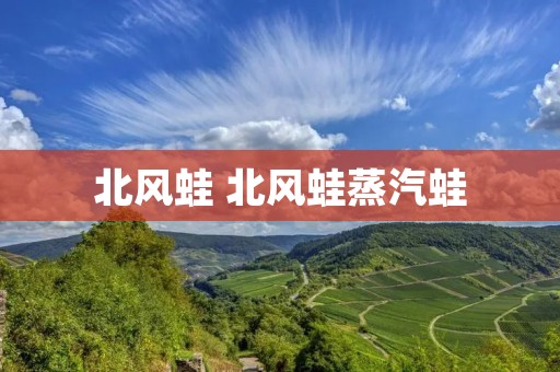 北风蛙 北风蛙蒸汽蛙